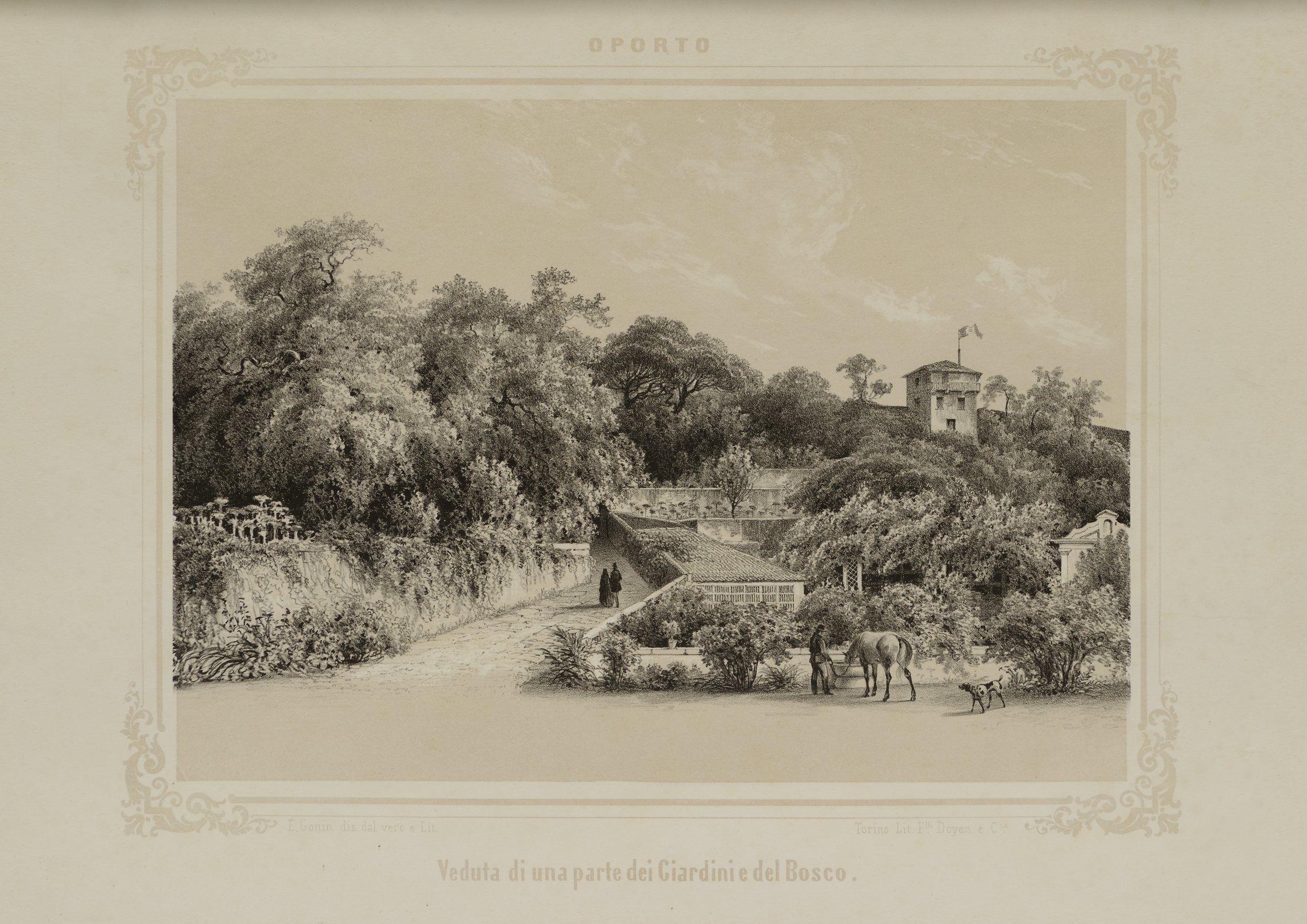 CAMINHOS DO ROMÂNTICO — CARLOS ALBERTO E OS VIZINHOS