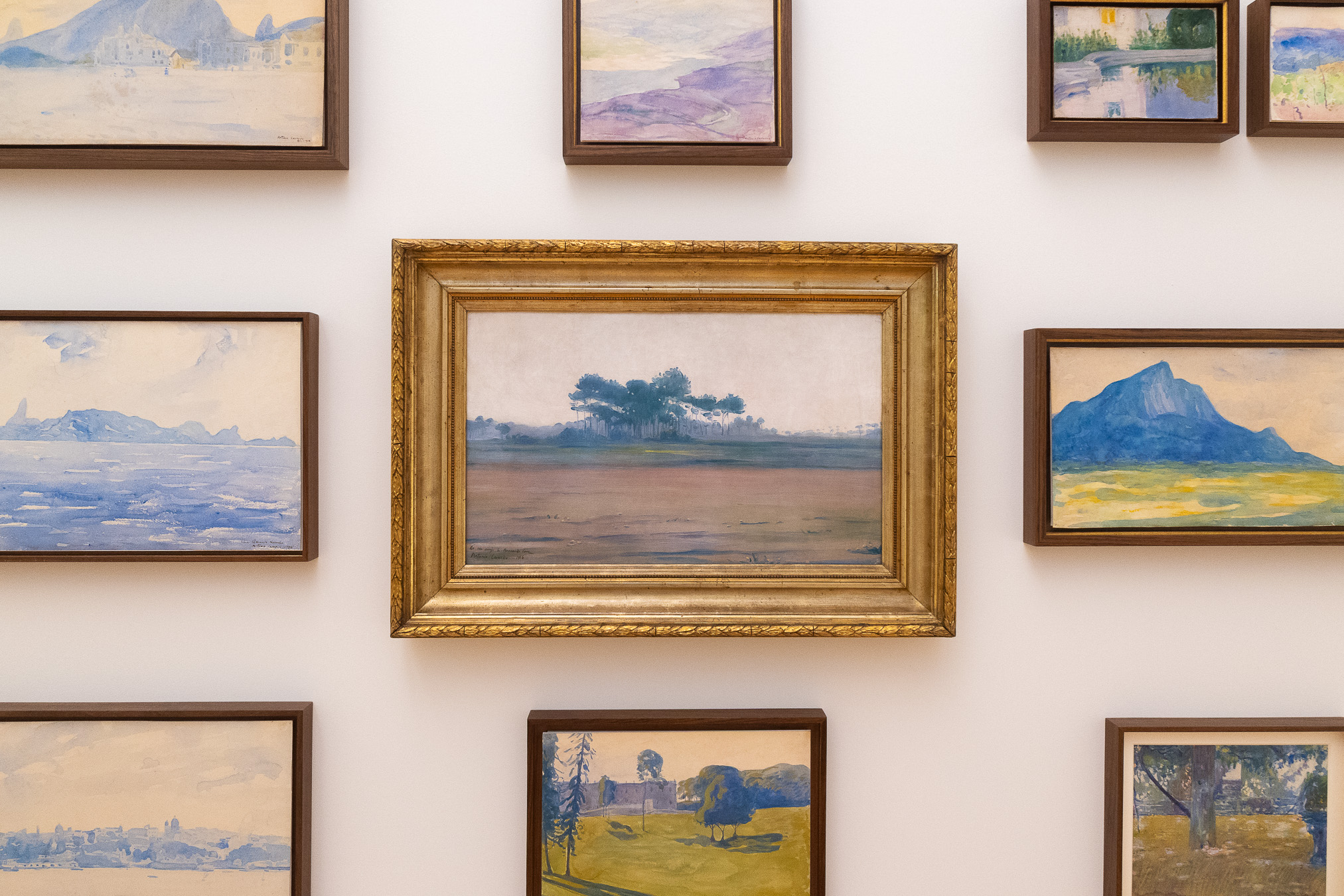 VISITA BOTÂNICA — PLANTAS E REVOLUÇÕES — NATUREZA, SÍMBOLOS E LIBERDADE